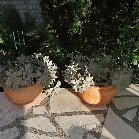 Apartment Quiet Bay Neum Εξωτερικό φωτογραφία